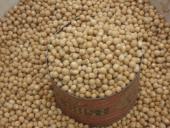Ground Peas (Cereal Product From Burkina Faso)
