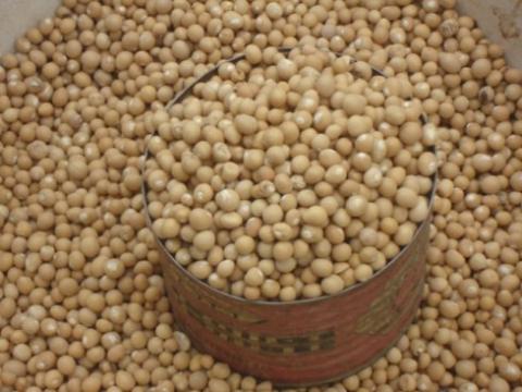 Pois De Terre( Produit Cerealier Du Burkina Faso)